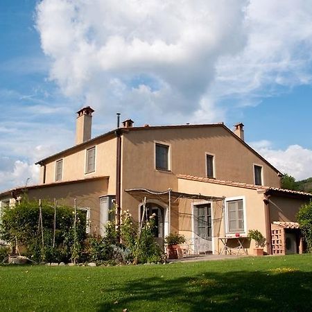 Villa Danilo By Posarellivillas San Casciano dei Bagni Ruang foto